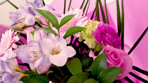 How To Pick The Perfect Flower For Every Occasion?